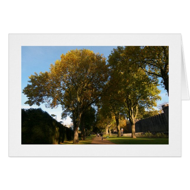 Cartão Autumn, Bute Park, Cardiff (Bordado) (Frente Horizontal)