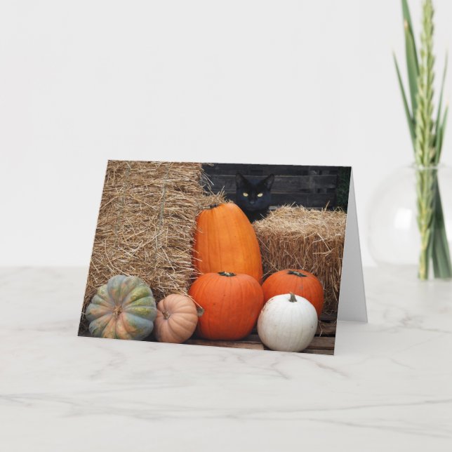 Cartão Autumn Cat (Frente)