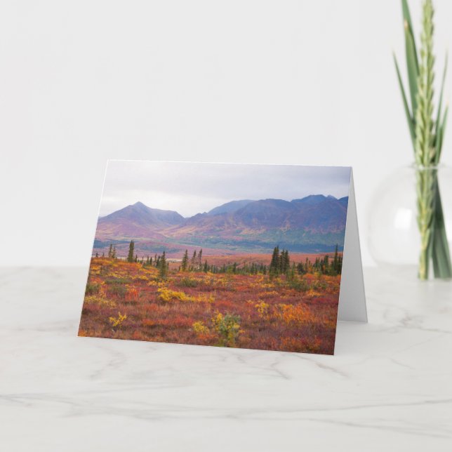 Cartão Autumn Colors In Denali National Park, Alaska (Frente)