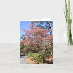 CARTÃO AUTUMN DOGWOOD