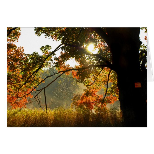 Cartão Autumn Good Morning (Frente horizontal)