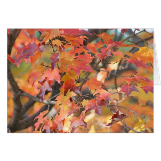 Cartão Autumn Leaves 3 (Frente horizontal)