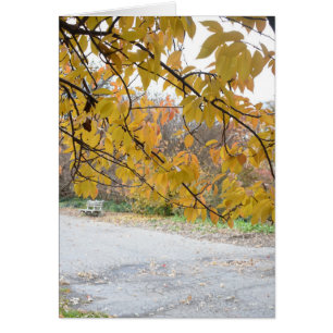 Cartão Autumn Leaves Riverside Park Nova Iorque NYC