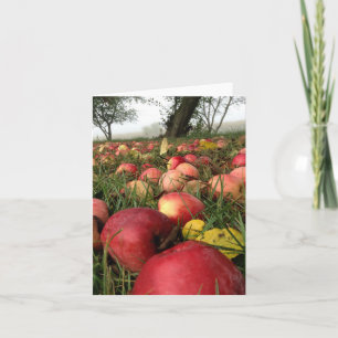 Cartão Autumn Morning in the Apple Orchard Note Card