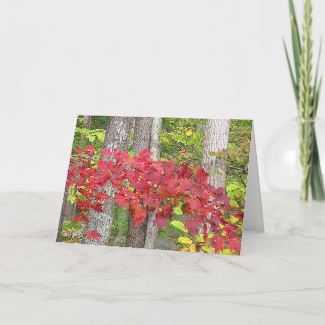 Cartão Autumn Notecard (Frente)