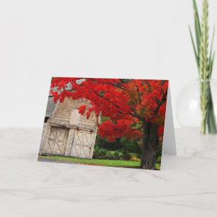 Cartão Autumn Red