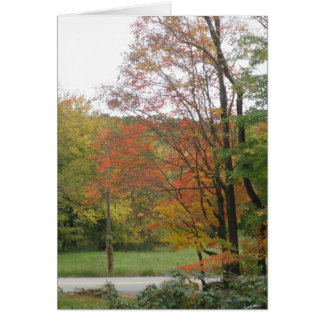 Cartão Autumn Road 2