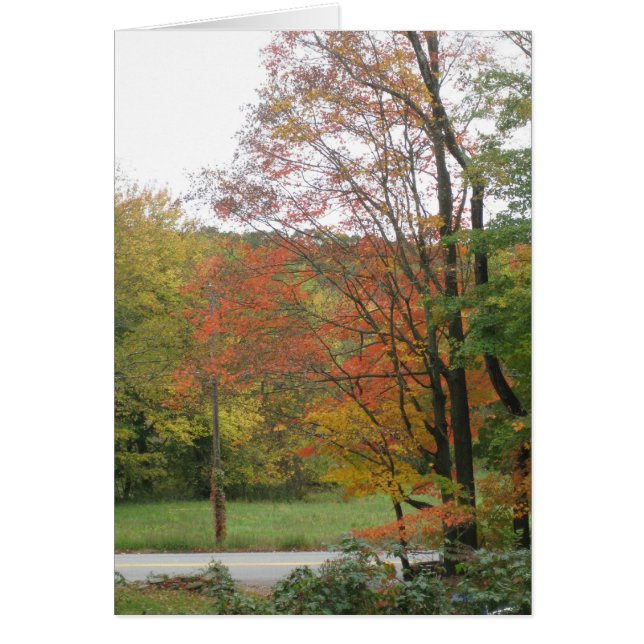 Cartão Autumn Road 2 (Frente)