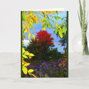 Cartão Autumn Splendor Any Occasion Card