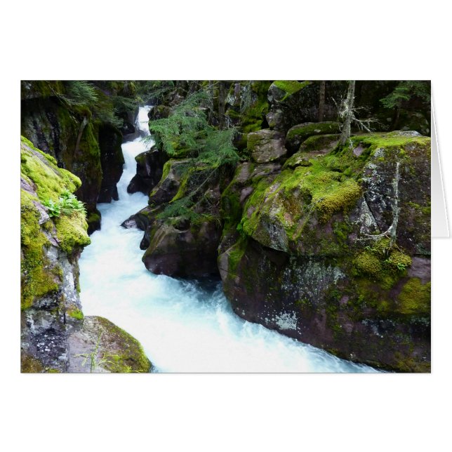 Cartão Avalanche Gorge I no Glacier National Park (Frente Horizontal)
