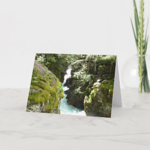 Cartão Avalanche Gorge II no Parque Nacional Glacier