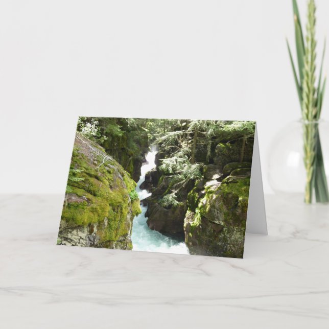 Cartão Avalanche Gorge II no Parque Nacional Glacier (Frente)