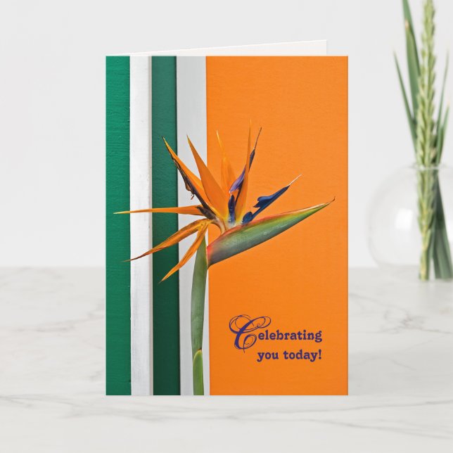 Cartão Ave do Paraíso de aniversário (Frente)