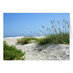 Cartão Aveia do Mar em Ocracoke
