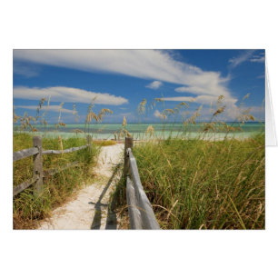 Cartão Aveia do mar Uniola paniculata) crescendo pela pra