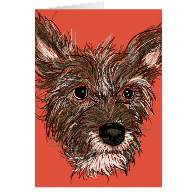 Cartão avelã (Frente)