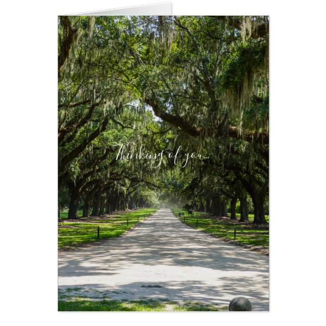 Cartão Avenida De Oaks Pensando Em Você (Frente)