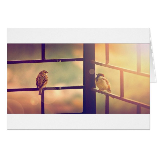 Cartão Aves ao sol da noite (Frente Horizontal)