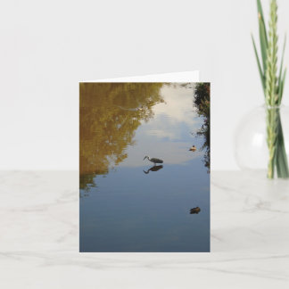 Cartão Aves Aquáticas no Parque Pollok, Glasgow