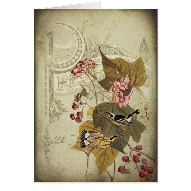 Cartão Aves canoras e bagas (Frente)