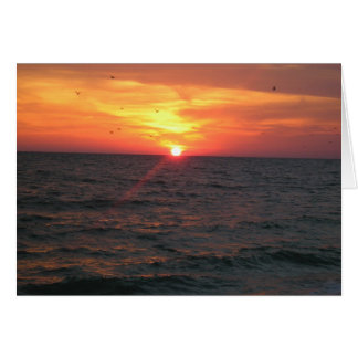 Cartão Aves do Paraíso