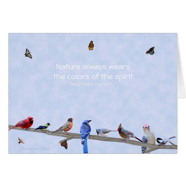 Cartão Aves e Borboletas vestem as cores da bebida espiri (Frente Horizontal)