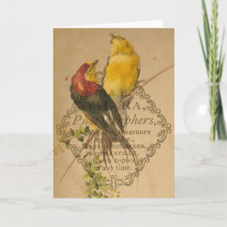Cartão Aves Vintage bonito