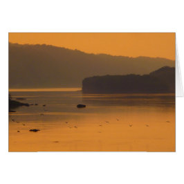 Cartão Aves voando sobre a água ao pôr do sol