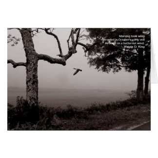 Cartão Avião com vento de borut