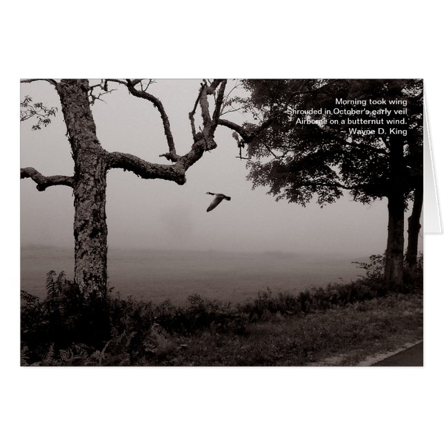 Cartão Avião com vento de borut (Frente Horizontal)