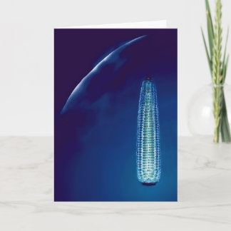 Cartão Aviso redundante (cartão)