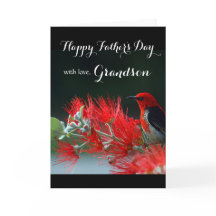 Avô / Dia de os pais Feliz - Scarlet Honeyeater