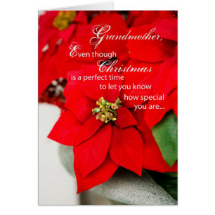 Cartão Avó Natal Poinsettia