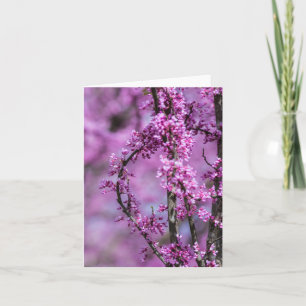 Cartão Avondale Redbud Art