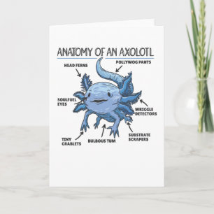 Cartão Axolotl Explanation Anatomy Of An Axolotl