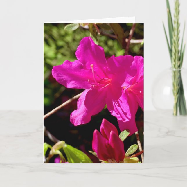Cartão Azaelea Rosa vazio (Frente)