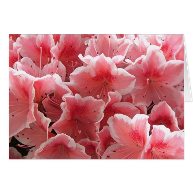 Cartão Azalea nº 1 (Frente Horizontal)