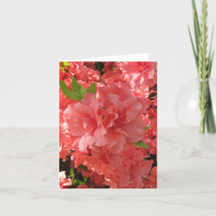 Cartão Azalea Notecard