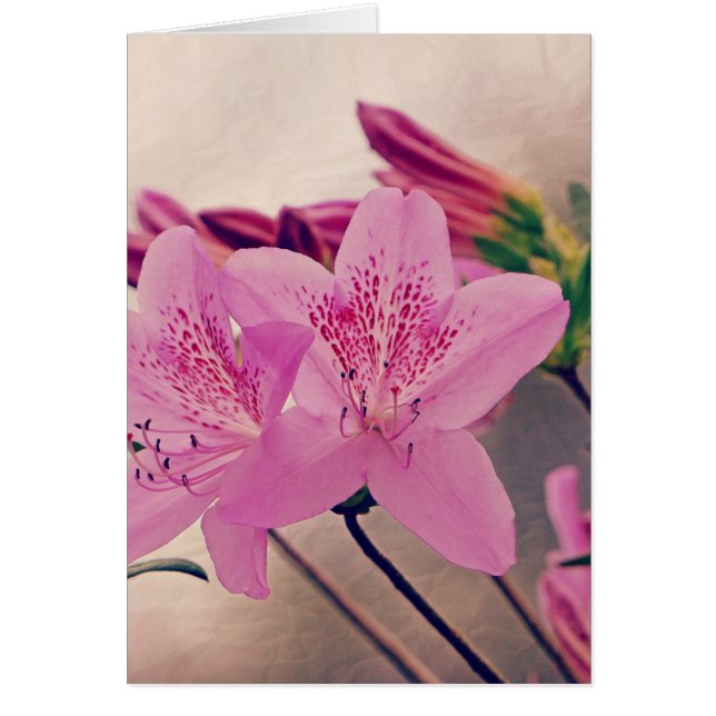 Cartão Azaleas (Frente)