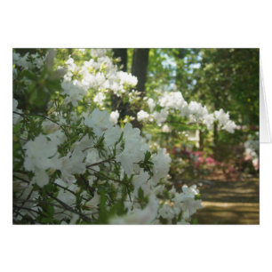 Cartão Azaleas em branco