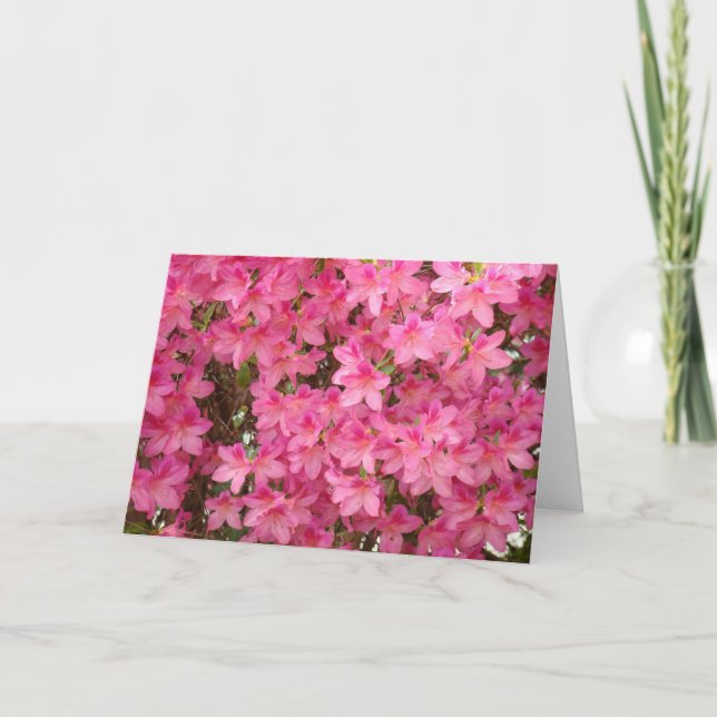 Cartão AZALEAS  Flores de Azaléia CARTA DE BOAS-VINDAS NO (Frente)
