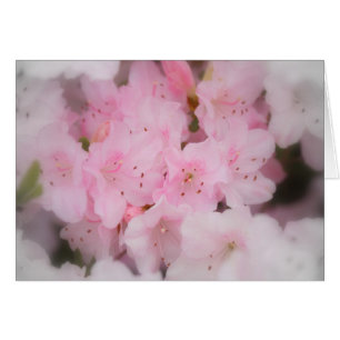 Cartão Azaleas Rosa