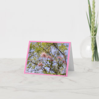 Cartão Azáleas selvagens Notecard floral