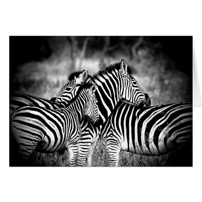 Cartão Azar de Zebra pensando em você Dentro personalizad (Frente horizontal)