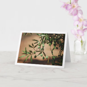 Cartão Azeitonas verdes penduradas na oliveira