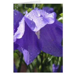 Cartão azul de Bell