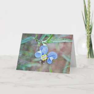 Cartão Azul de Macrobacia Flor Selvagem de Dayflow