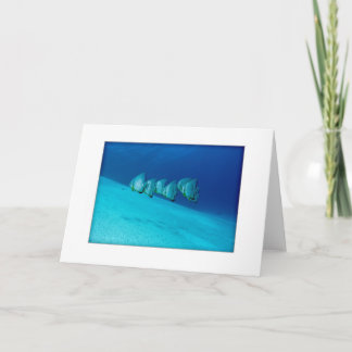 Cartão azul do Batfish