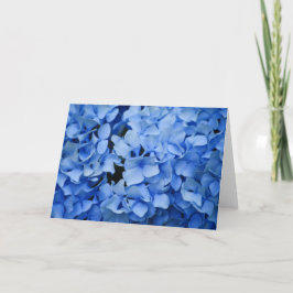 Cartão azul do Hydrangea