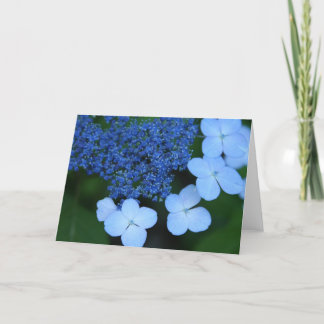 Cartão azul do laço